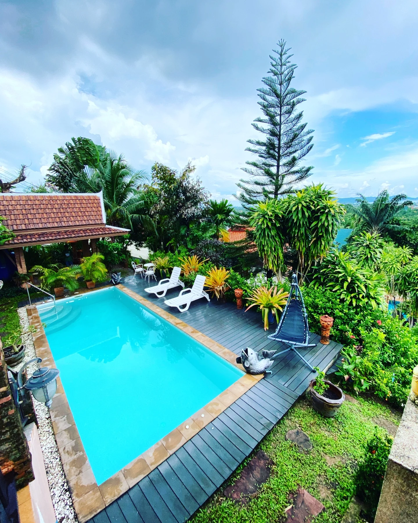 Bayview Lodge — the pool and the tall pine