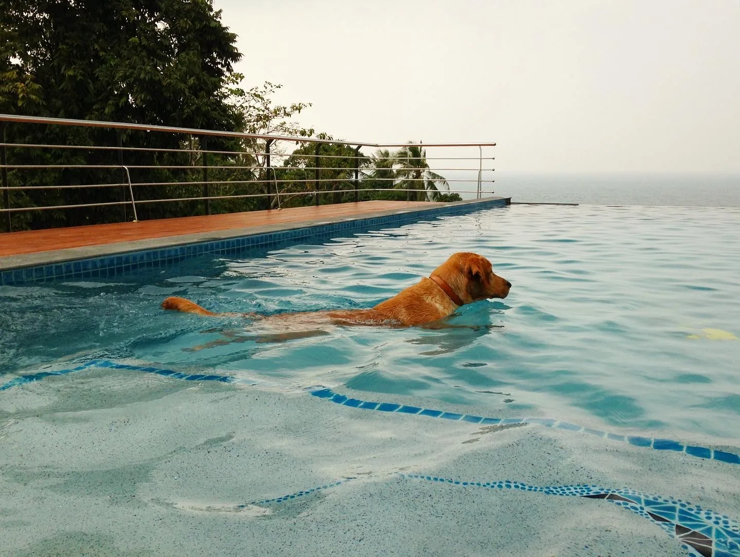 Private Villa, Koh Phangan — the finished pool in use