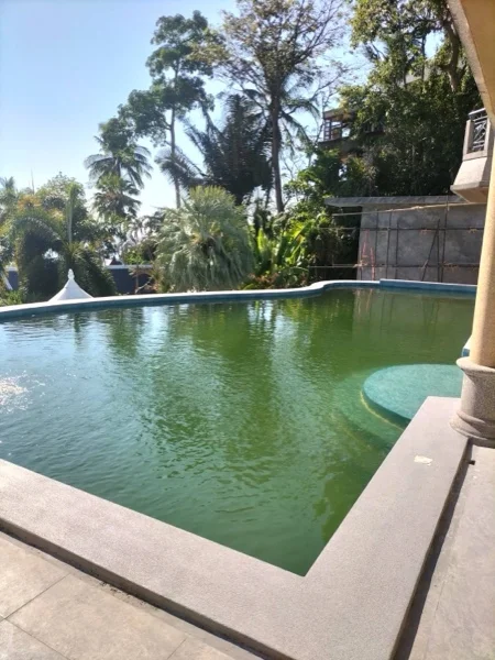 The pool standing out of service before the surround was relaid