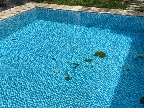 Private Residence, Bang Tao — the old mosaic in very damaged condition