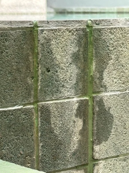Crest Resort — the old Sukabumi Green natural stone lining, stained along the grout