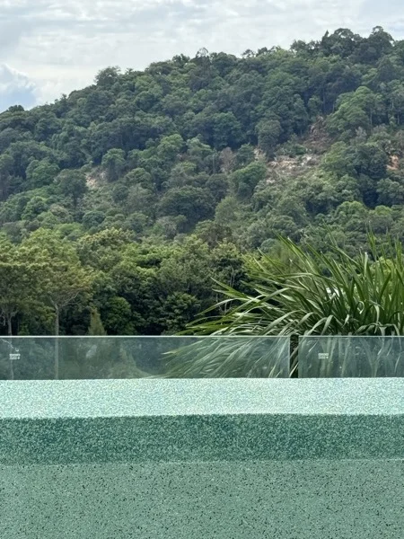 Crest Resort & Pool Villas — the finish at the glass edge, hillside beyond