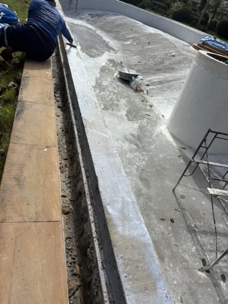 Five-Villa Lagoon Pool — rendering the pool edge
