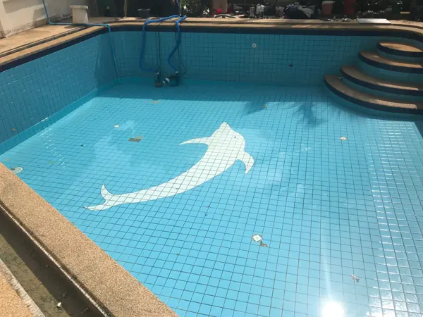 Guesthouse, Kathu — the old tiled pool, with a dolphin set into the floor
