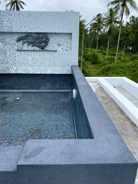Mai Khao Dream — the rooftop pool under its relief wall