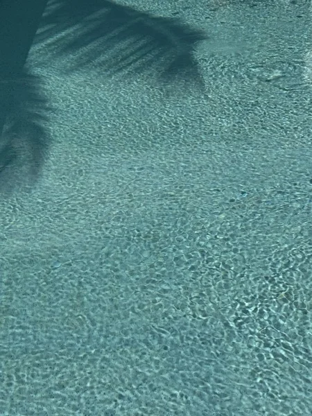 NY Beach Club — palm shadow across the finish