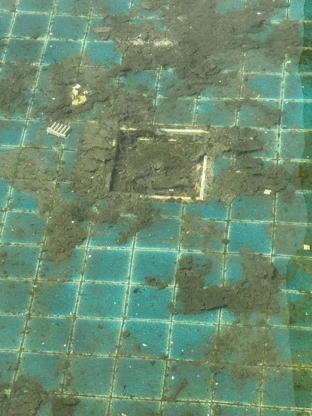 Pool renovation by Pebble Pools