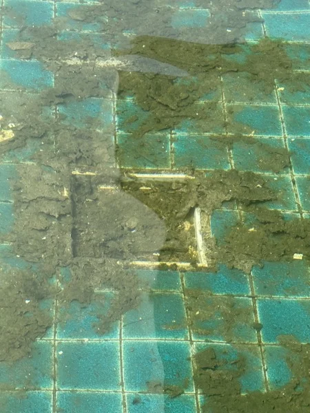 Pool renovation by Pebble Pools