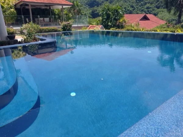The renovated pool looking across the water towards the hillside and the pavilion
