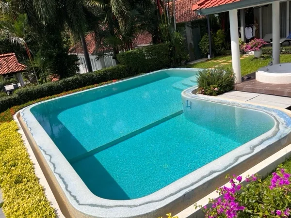 The pool before the renovation: a faded pale finish and a cream coping in the garden