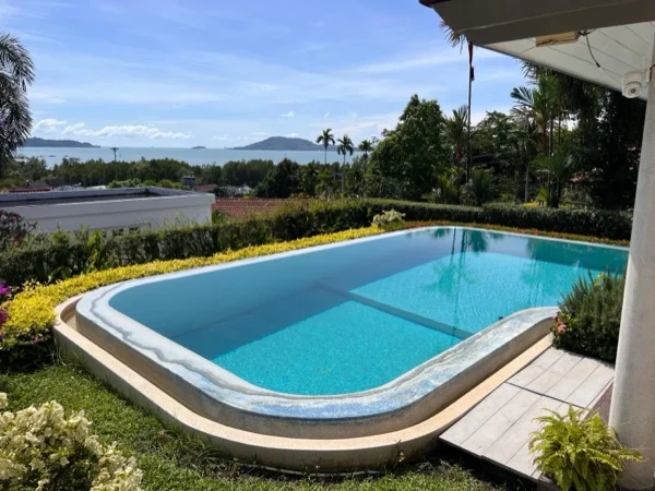 The old pool finish seen from the terrace before the renovation began