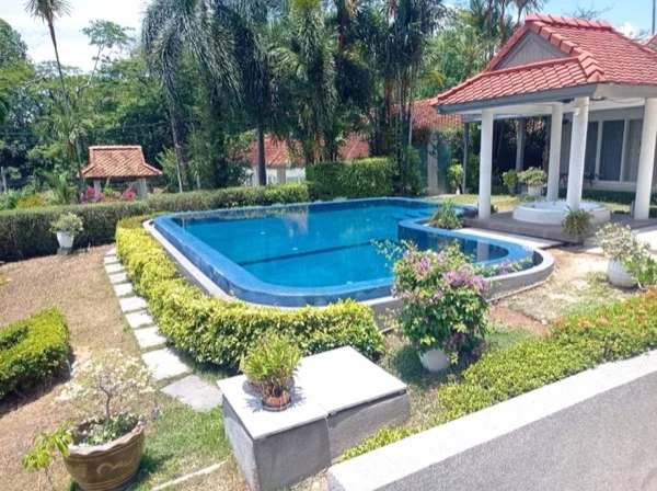 The renovated pool seen from the drive, the dark speckled surround against the hedge and the planting