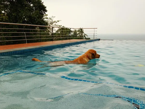 Private Villa, Koh Phangan — the finished pool in use