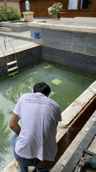 Banyan Tree Villa — cutting the old coping away
