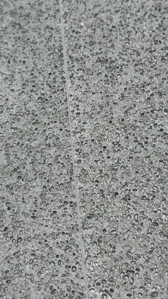 Private Villa, Layan Beachfront — close-up of the finish