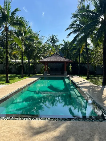 Private Villa, Red Palm — Irish Green — the pool framed by palms