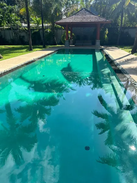 Private Villa, Red Palm — Irish Green — the pool from the terrace end