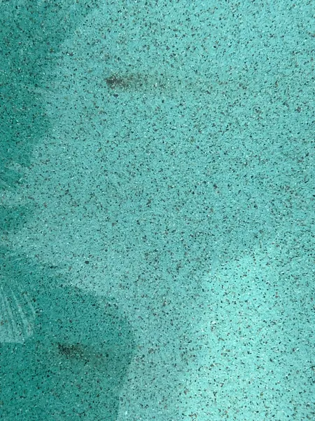 Private Villa, Red Palm — Irish Green — the new finish, close up