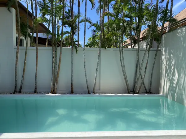 Private Villa, Rawai — Pearl White — the pool towards the wall and the palms