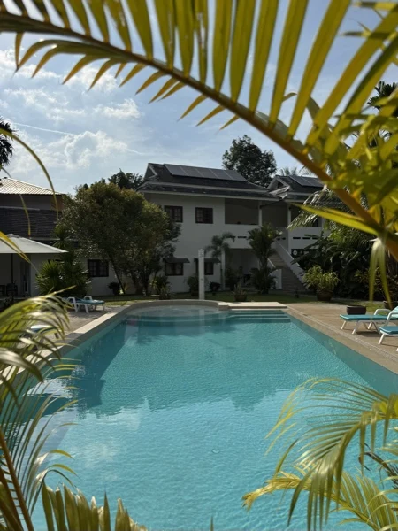 Private Villa, Khao Lak — the pool and the house seen through the palms