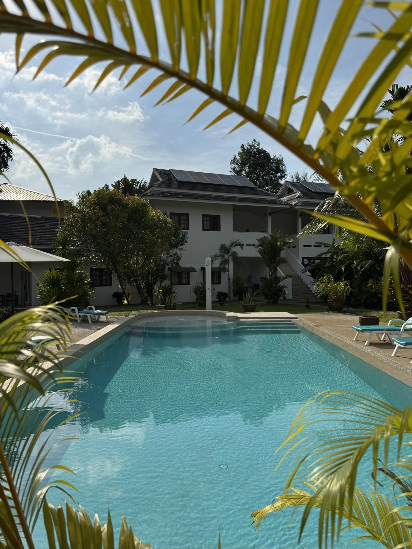 Private Villa, Khao Lak — the pool and the house seen through the palms